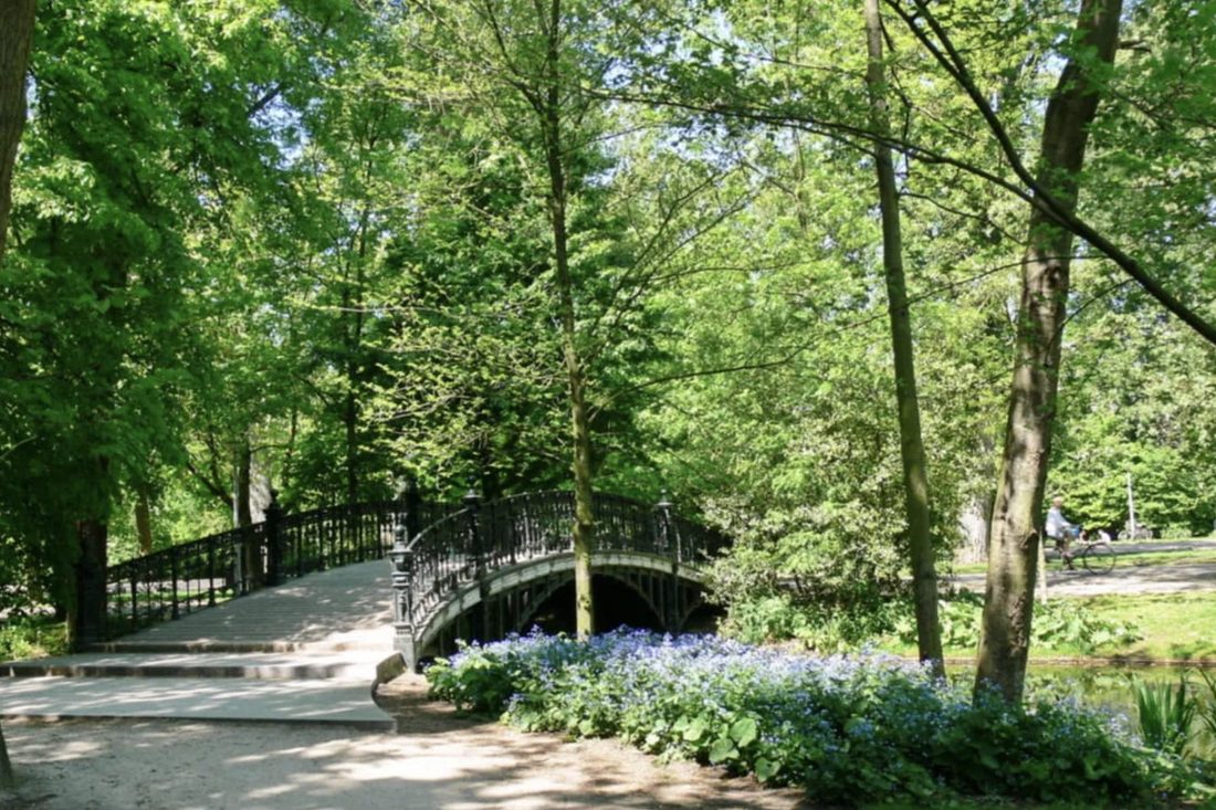 A bridge in the Vondelpark, next to the entrance of the venue